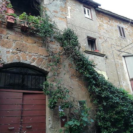 Ferienwohnung Relax Dal Caos Di Citta Barbarano Romano Exterior foto
