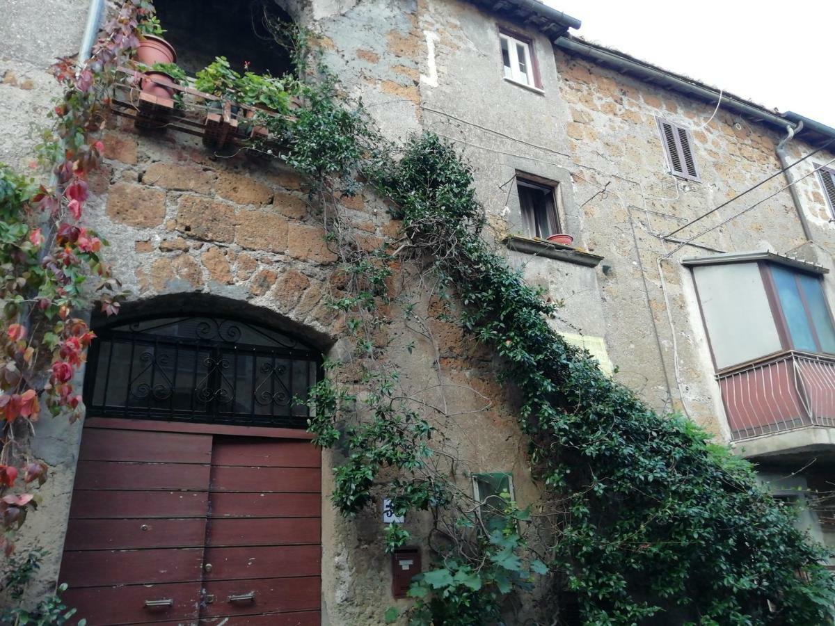 Ferienwohnung Relax Dal Caos Di Citta Barbarano Romano Exterior foto